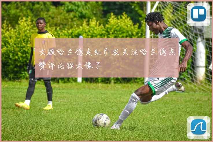 女版哈兰德走红引发关注哈兰德点赞评论称太像了