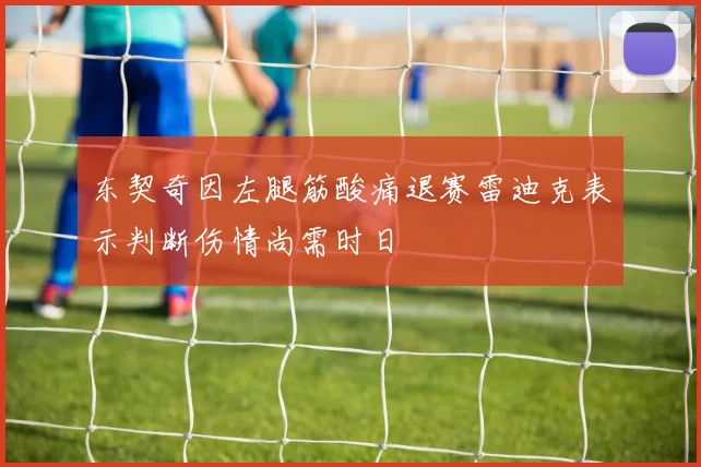 东契奇因左腿筋酸痛退赛雷迪克表示判断伤情尚需时日