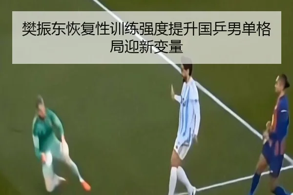 樊振东恢复性训练强度提升国乒男单格局迎新变量